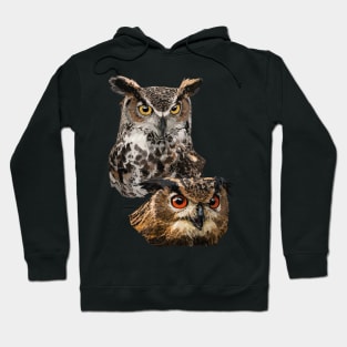 American Owl and Eagle Owl Hoodie